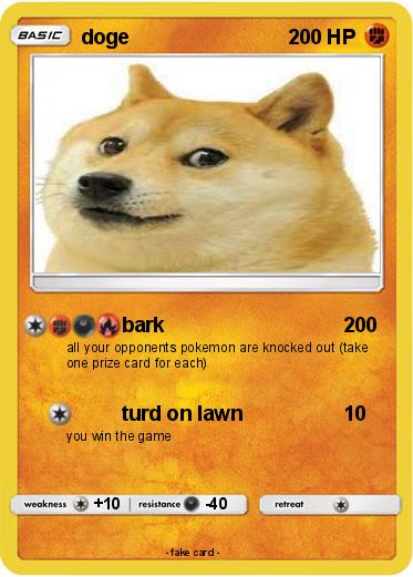 Pokemon doge