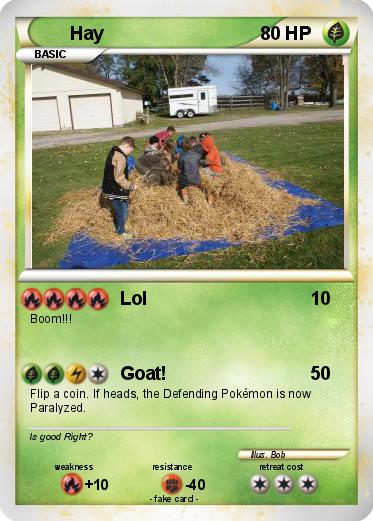 Pokemon Hay