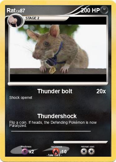 Pokemon Rat