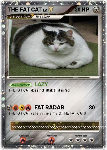 Pokemon THE FAT CAT