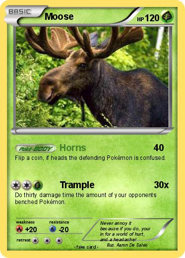 Pokemon Moose