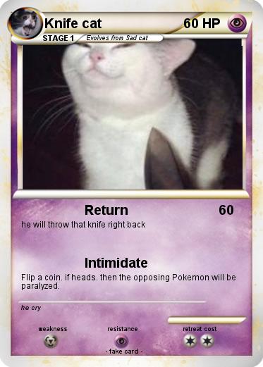 Pokemon Knife cat