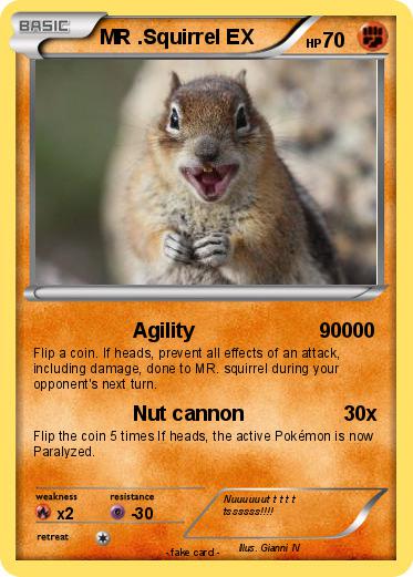 Pokemon MR .Squirrel EX