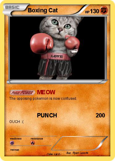 Pokemon Boxing Cat