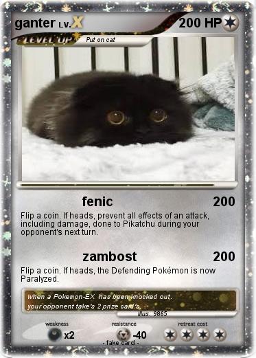 Pokemon ganter