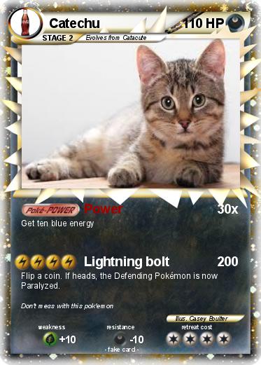 Pokemon Catechu