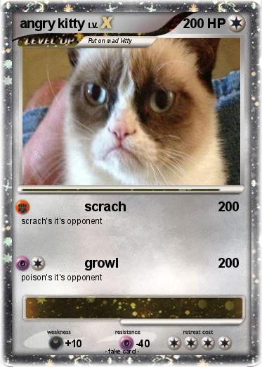Pokemon angry kitty