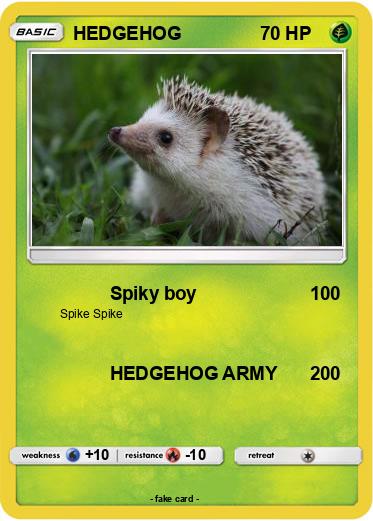 Pokemon HEDGEHOG