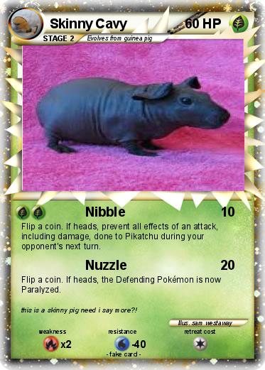 Pokemon Skinny Cavy