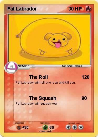 Pokemon Fat Labrador