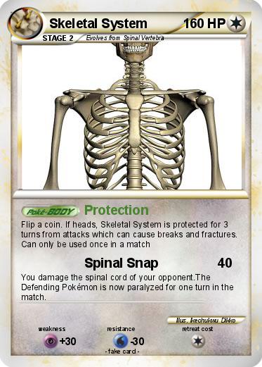 Pokemon Skeletal System