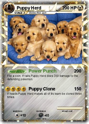 Pokemon Puppy Herd