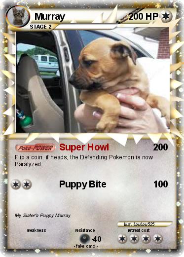 Pokemon Murray