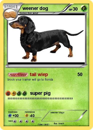 Pokemon weener dog