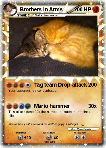 Pokemon Brothers in Arms