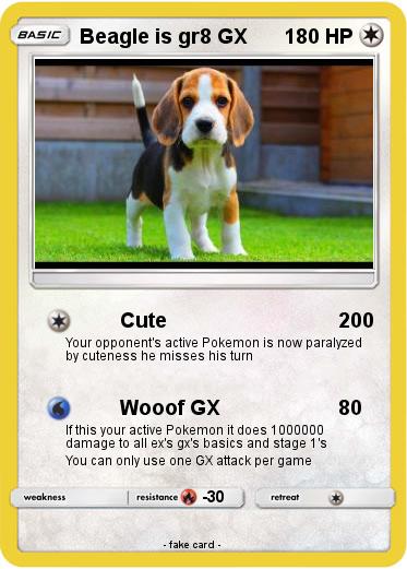 Pokemon Beagle is gr8 GX