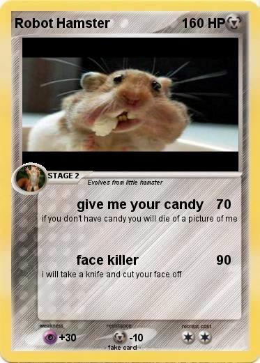 Pokemon Robot Hamster