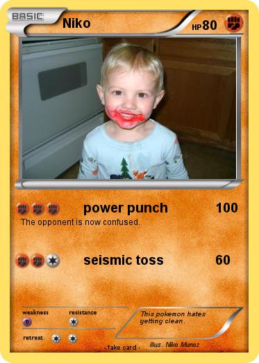 Pokemon Niko