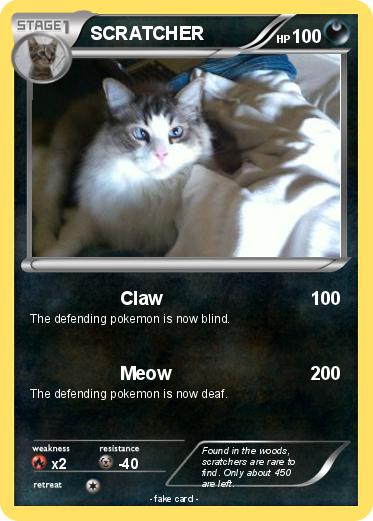 Pokemon SCRATCHER