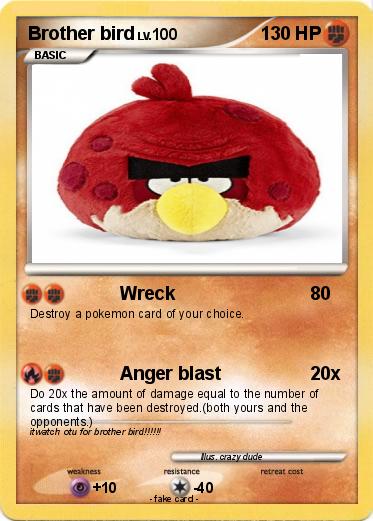 Pokemon Brother bird