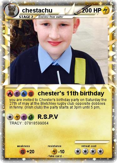 Pokemon chestachu