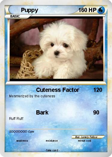 Pokemon Puppy