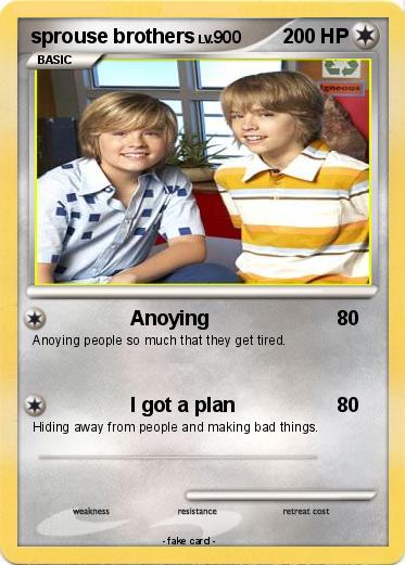 Pokemon sprouse brothers