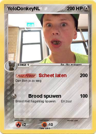 Pokemon YoloDonkeyNL