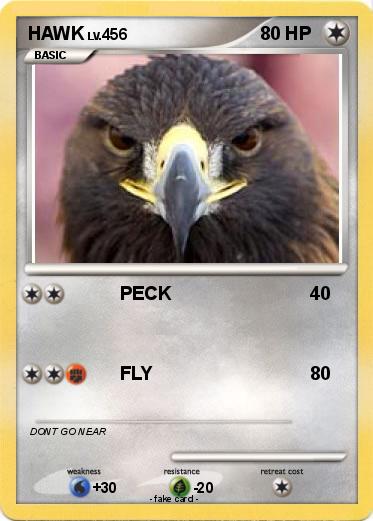 Pokemon HAWK