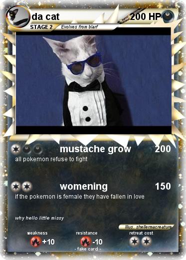 Pokemon da cat