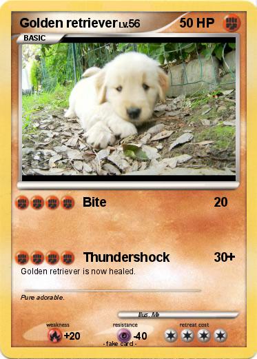 Pokemon Golden retriever