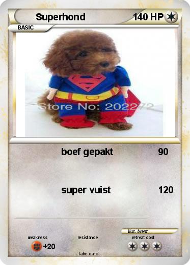 Pokemon Superhond
