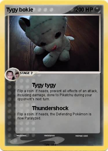 Pokemon Tygy bokie