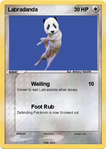 Pokemon Labradanda