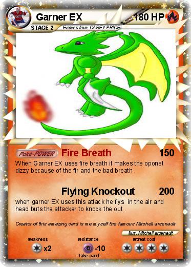 Pokemon Garner EX