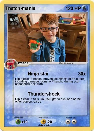 Pokemon Thatch-mania