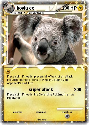 Pokemon koala ex