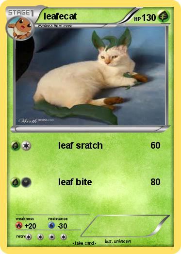 Pokemon leafecat