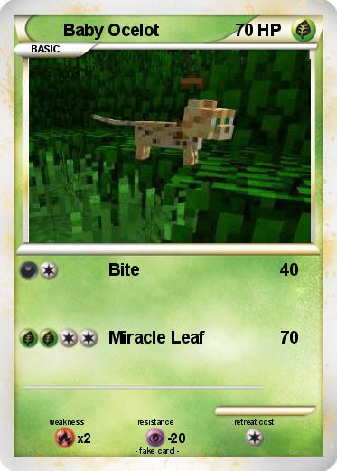 Pokemon Baby Ocelot