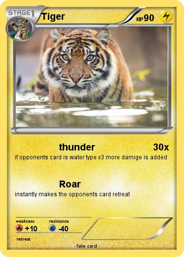 Pokemon Tiger
