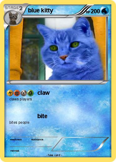 Pokemon blue kitty