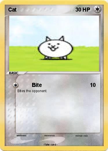 Pokemon Cat