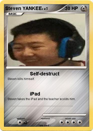 Pokemon Steven YANKEE