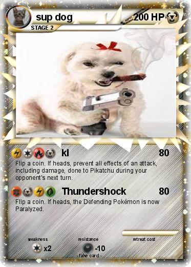 Pokemon sup dog