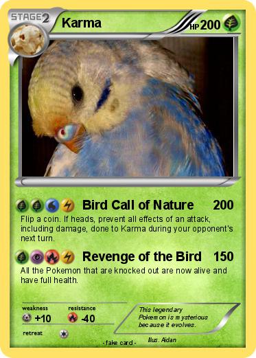 Pokemon Karma