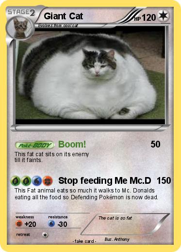 Pokemon Giant Cat