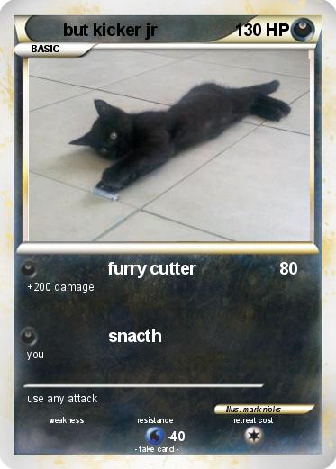 Pokemon but kicker jr