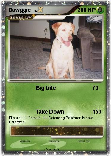 Pokemon Dawggie