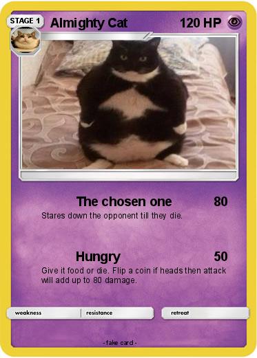 Pokemon Almighty Cat