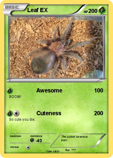 Pokemon Leaf EX